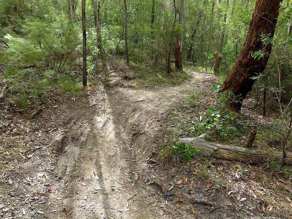 P1160420.jpg